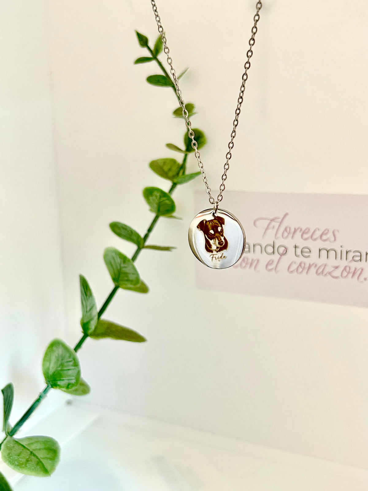 Collar personalizado mascota