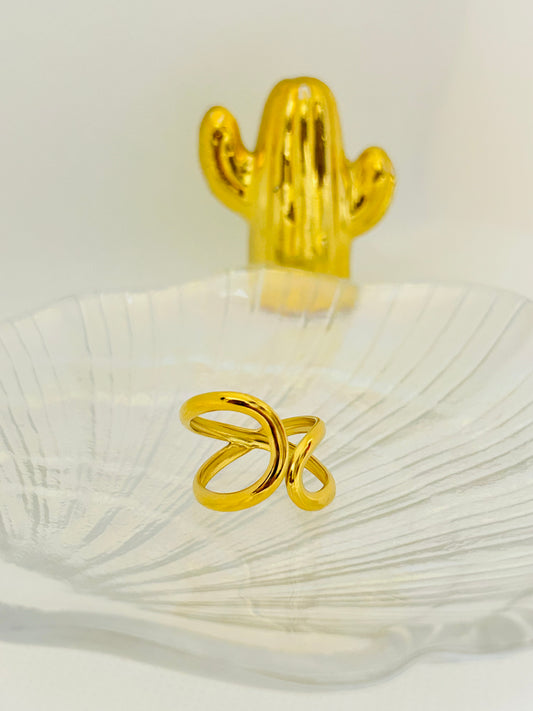 Anillo Noa